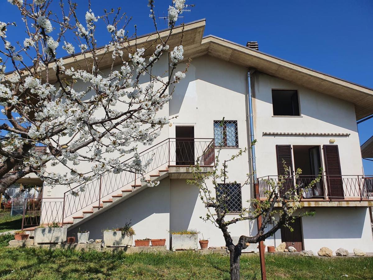 Casa Ciuffina Bed & Breakfast Civitella Casanova Eksteriør bilde