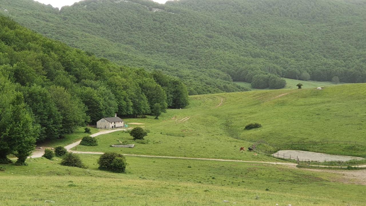 Casa Ciuffina Bed & Breakfast Civitella Casanova Eksteriør bilde